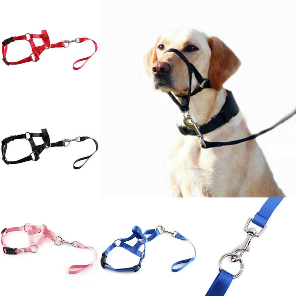 nose leash