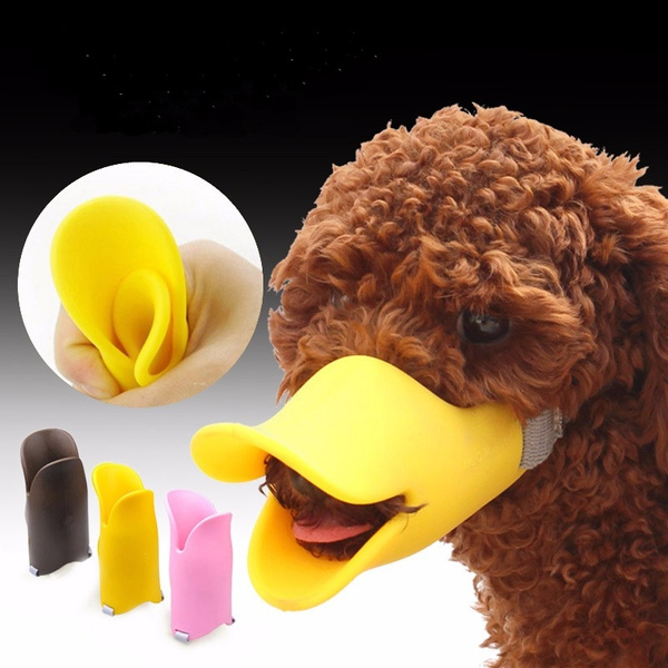 duck dog muzzle