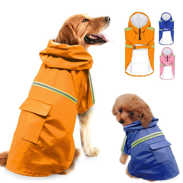 dog raincoat labrador
