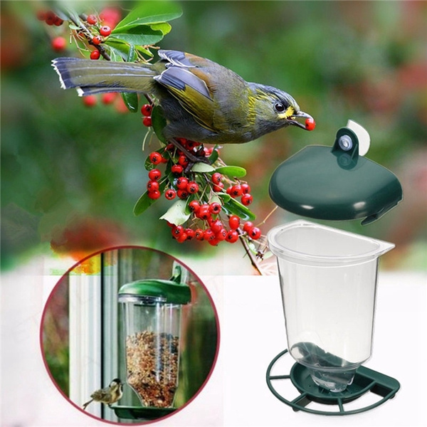 automatic wild bird feeder