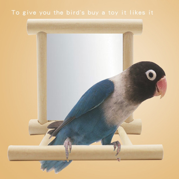 wish bird toys