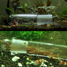 aquariumfishsupplie, Home Decor, snail, fishtankdecor