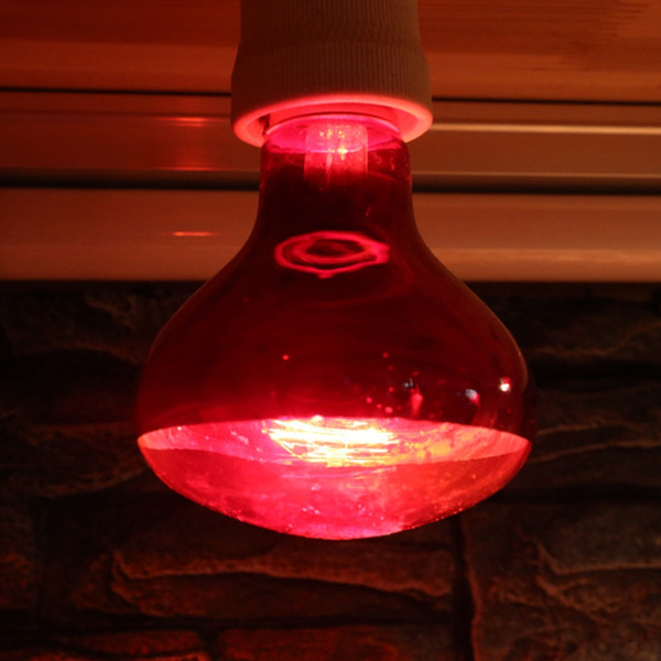 red reptile bulb