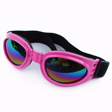 sunglassesampgoggle, Fashion, eye, puppy