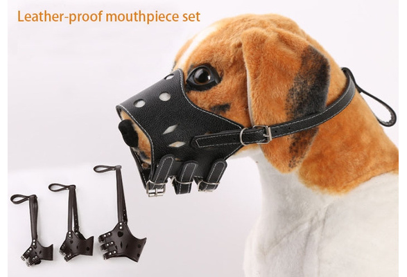 dog mouthpiece