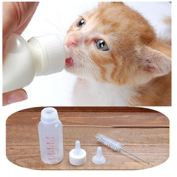 kitten nursing bottle