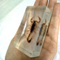 thumbnail - 2