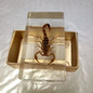 thumbnail - 3