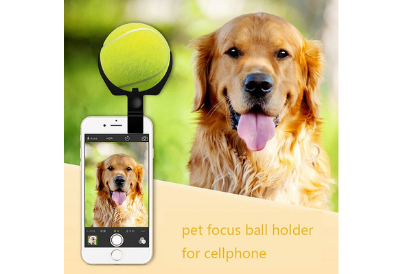 dog selfie tennis ball