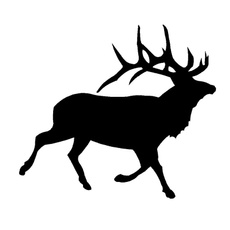 elk, Fashion, Hunting, Waterproof