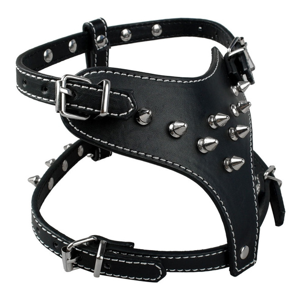 small dog spiked harness