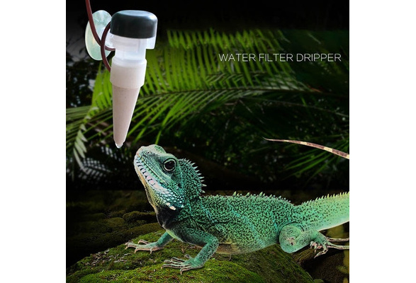 lizard water dripper