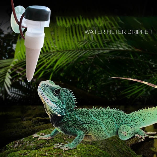 water dripper for bearded dragon