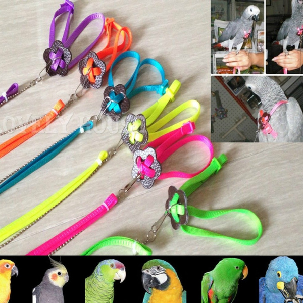 Aviator bird store harness and leash