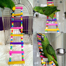 Toy, petaccessorie, Home & Living, parrottoy