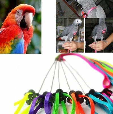 Adjustable Parrot/Bird Harness Multicolored 