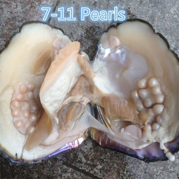 giant clam pearl price