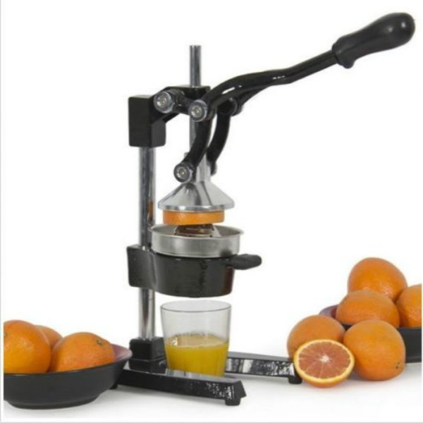 fruit juicer walmart