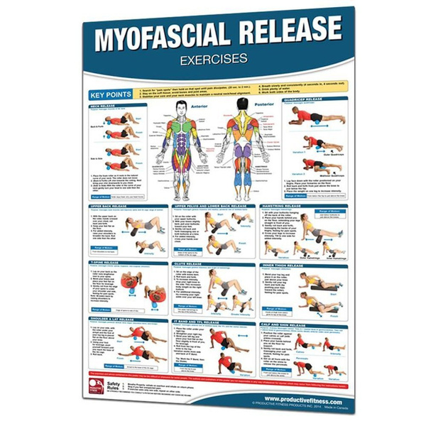 Productive Fitness Trigger Points and Myofascial Release Poster Set - 3 ...