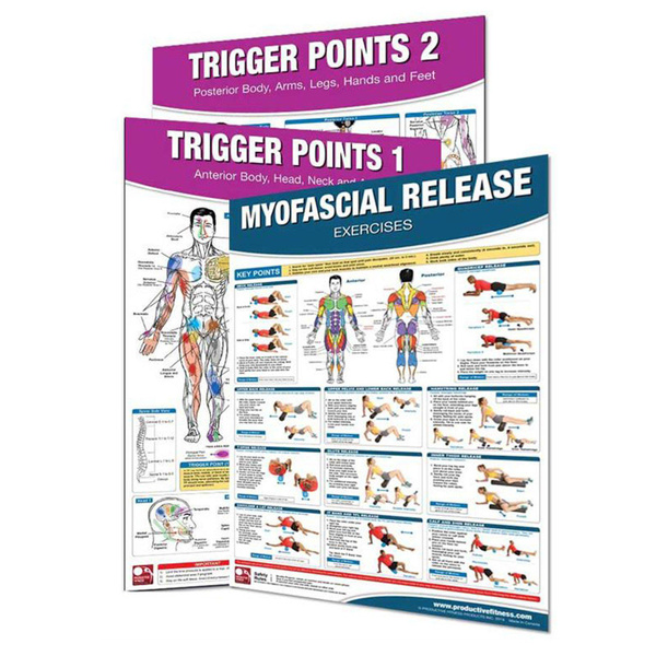 Productive Fitness Trigger Points and Myofascial Release Poster Set - 3 ...