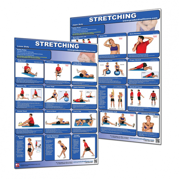 (2 Pack) Productive Fitness Poster Series Upper Lower Body Stretching ...