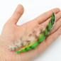 thumbnail - 1