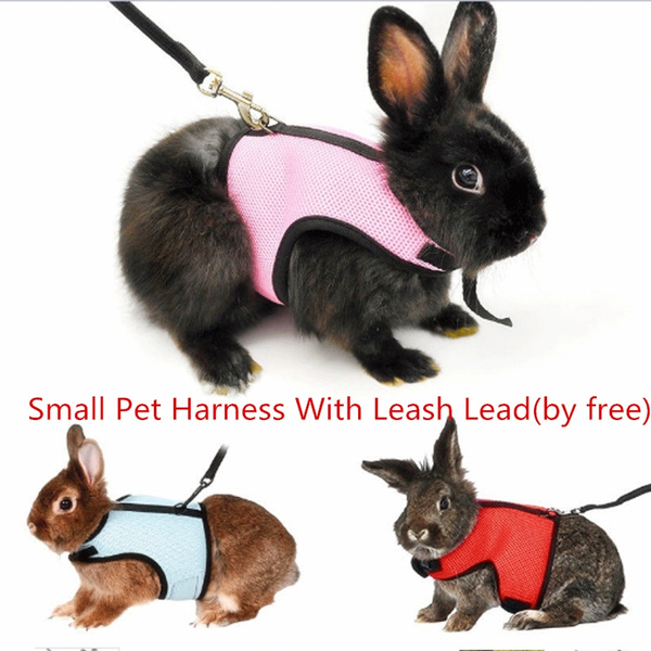 small animal harness