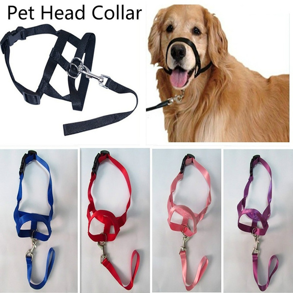halti mouth harness