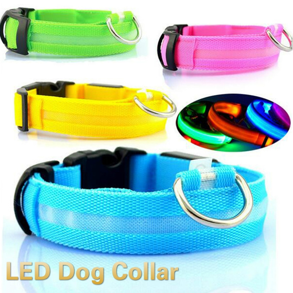 light up dog collar pets at home