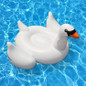 thumbnail - 2