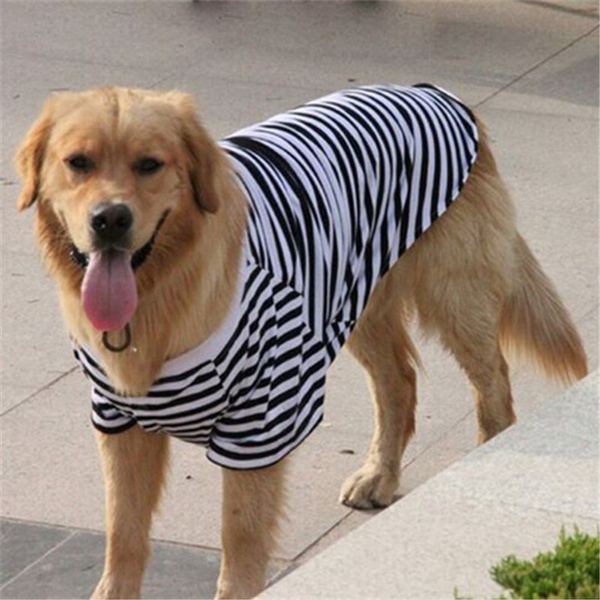 Clothes Golden Retriever  Dog Clothes Golden Retriever