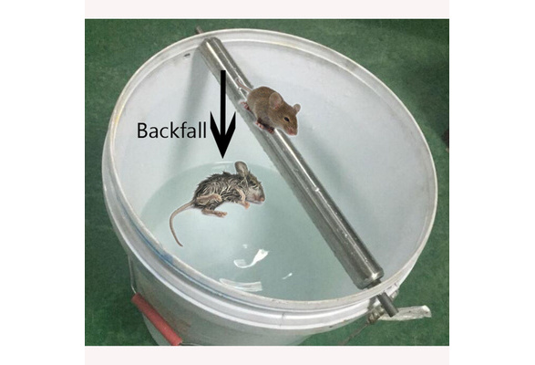 Mouse Rat Stick Trap Rodent Spinning Rotatable Log Roll Bucket Mice Trap  Rolling