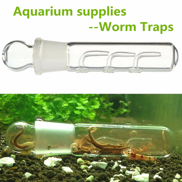 1 x Planaria Traps Aquarium VIV Pest Catch Pen Shrimp Leeches Plannaria  Plant Trap Worm Catcher