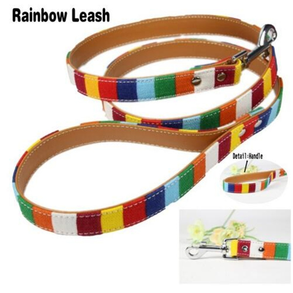 rainbow dog lead
