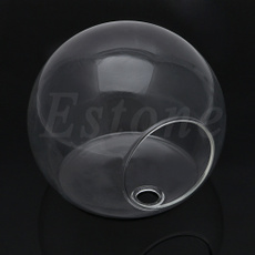 transparentglassvase, Decor, Flowers, Garden