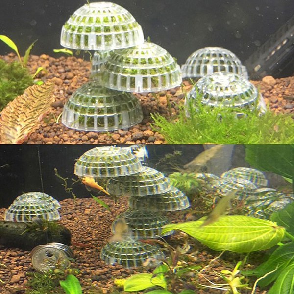1 PC 5cm Aquarium Fish Tank Media Moss Ball Live Plant Filter Filtration  Funny Decor (Color: White)