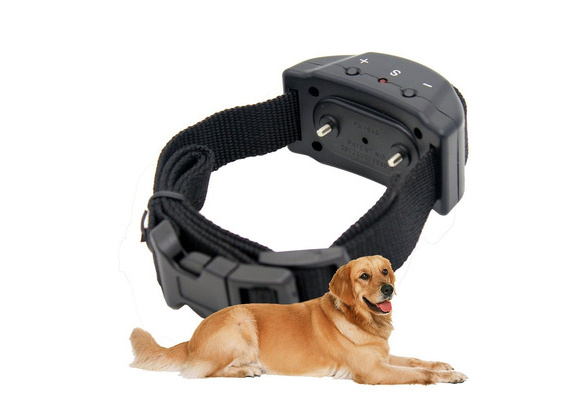 bark zap collar