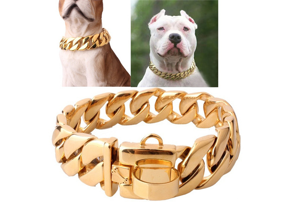 pitbull neck chains