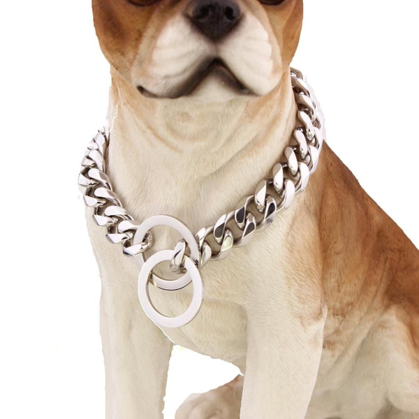 Silver dog 2024 collar chain