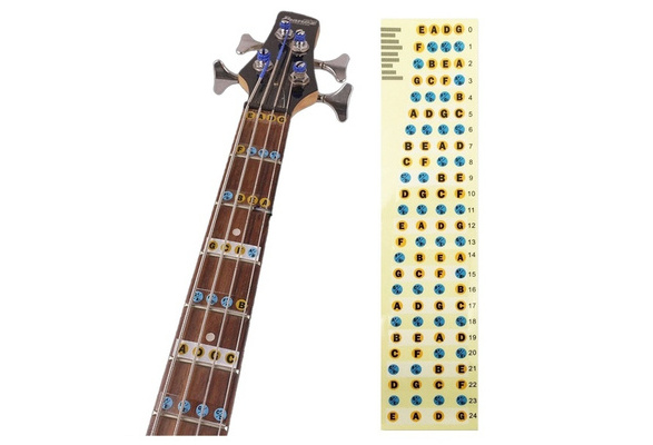 bass frets labeled