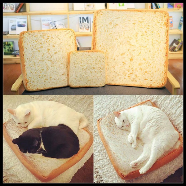 cat slice of bread