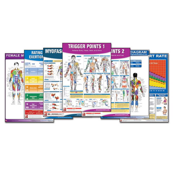 Productive Fitness Home Gym Work Out Poster - Laminated (Many Exercises)