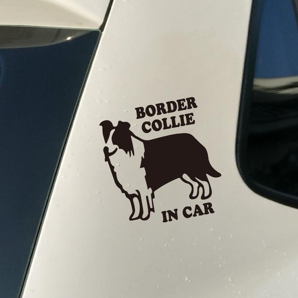 border collie car decal