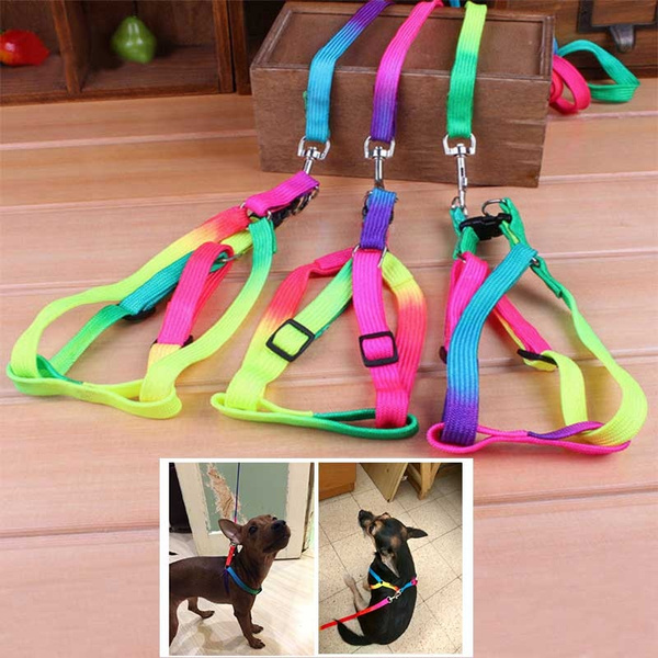1pc Rainbow Color Nylon Harness Collar Leash Lead Adjustable F/Dog Cat Pet SA 