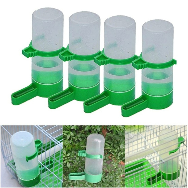 Budgie best sale water bottle