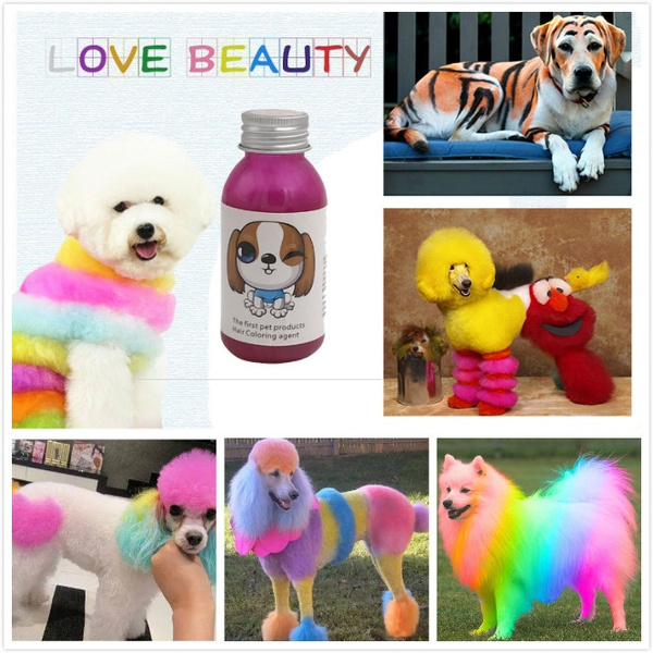 top performance dog dye