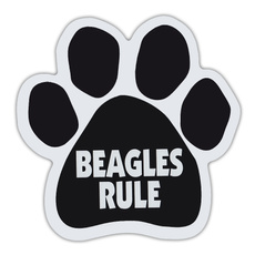 beagle, Magnet, Pets, Dogs