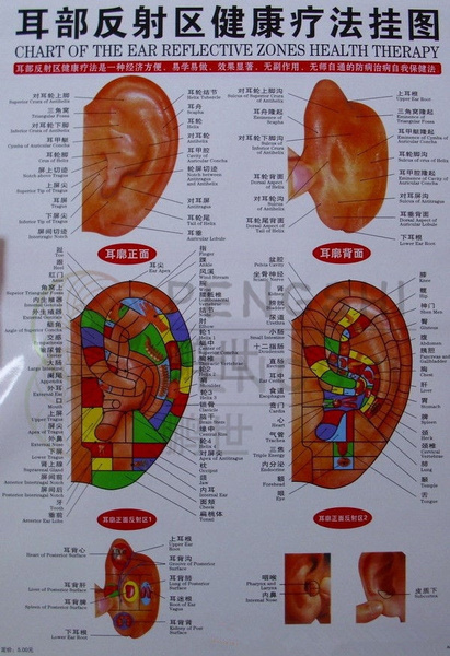 Chart Of The Ear Reflective Zones Health Therapy Acupuncture points | Wish