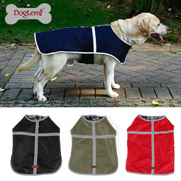 doglemi coat