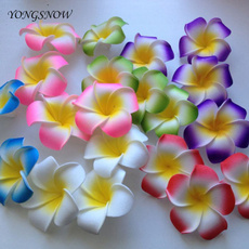 foamflower, Flowers, Hawaiian, frangipani